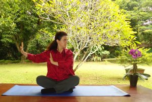 Tao Yin - Tao Yoga