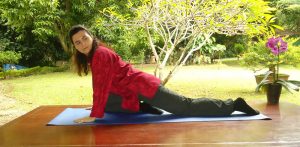 Tao Yin Tao Yoga Yoga Taoista
