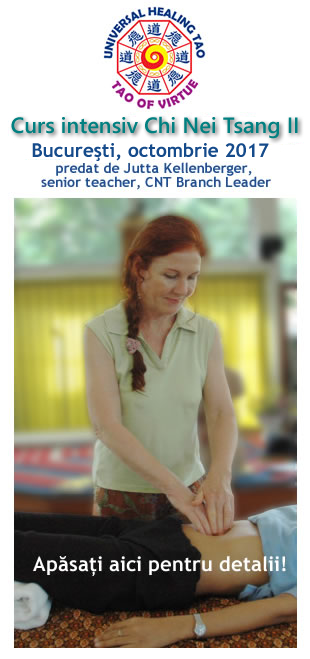 Curs masaj terapeutic Chi Nei Tsang 2