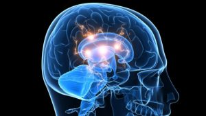 biomedical