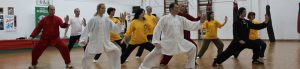 tai-chi-chuan-romania