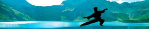 Lectii particulare Tai Chi SImplitao