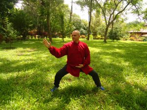 chi-kung-tai-chi