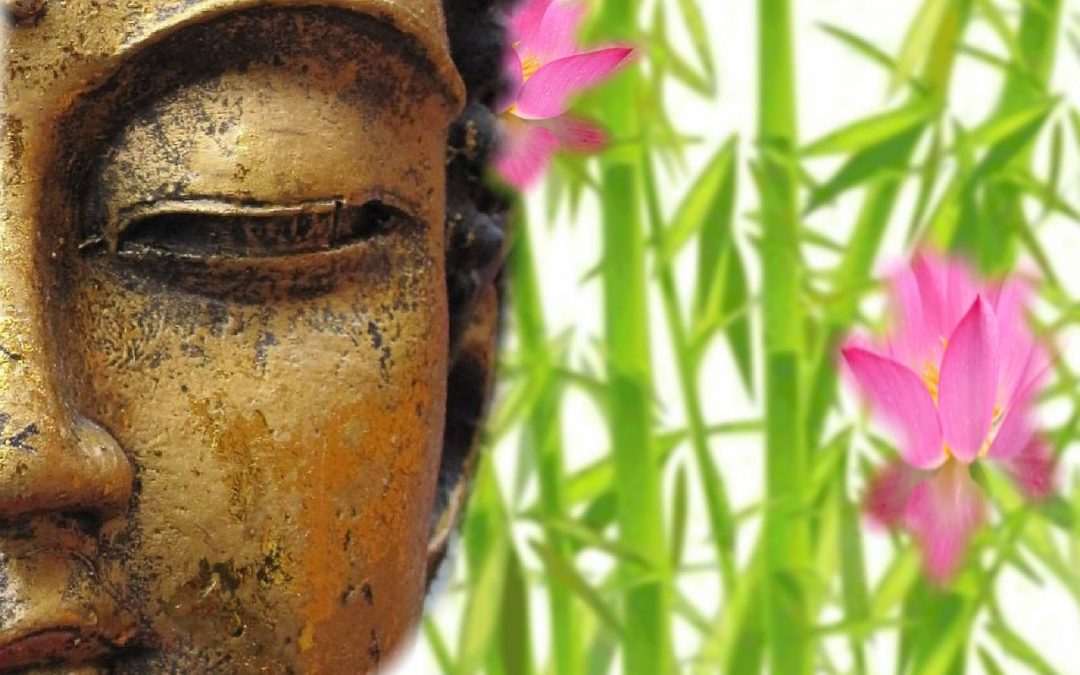 meditatie