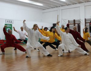 Tai Chi Chuan, stilul Chen