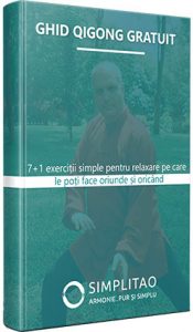 ghid-qigong-mockup-248x424