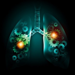 plamani-beneficii-respiratie-pe-nas