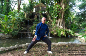 Costin Vasile, instructor Tai Chi Chuan