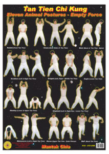 Tan Tien Chi Kung