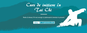 Curs Chen Tai Chi