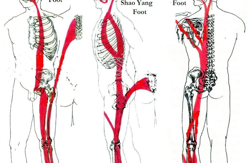 meridiane-Jing-Jin