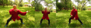 Curs Chen Taijiquan