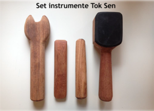 Set instrumente Tok Sen