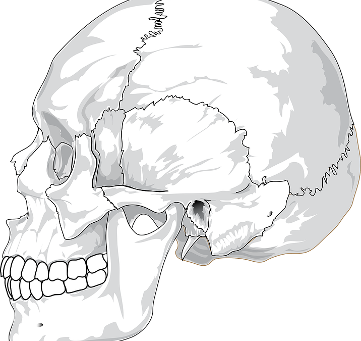 craniu