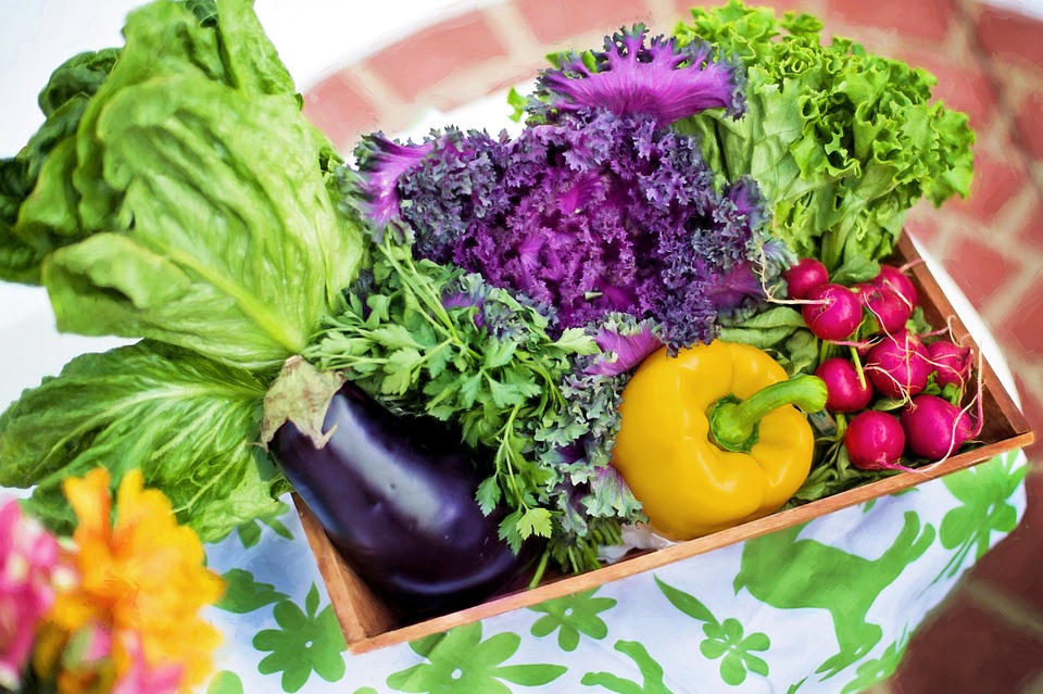 creier-intestine-vegetale