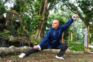 Costin Vasile, instructor Taijiquan