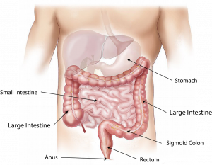 Masajul terapeutic abdominal Chi Nei Tsang