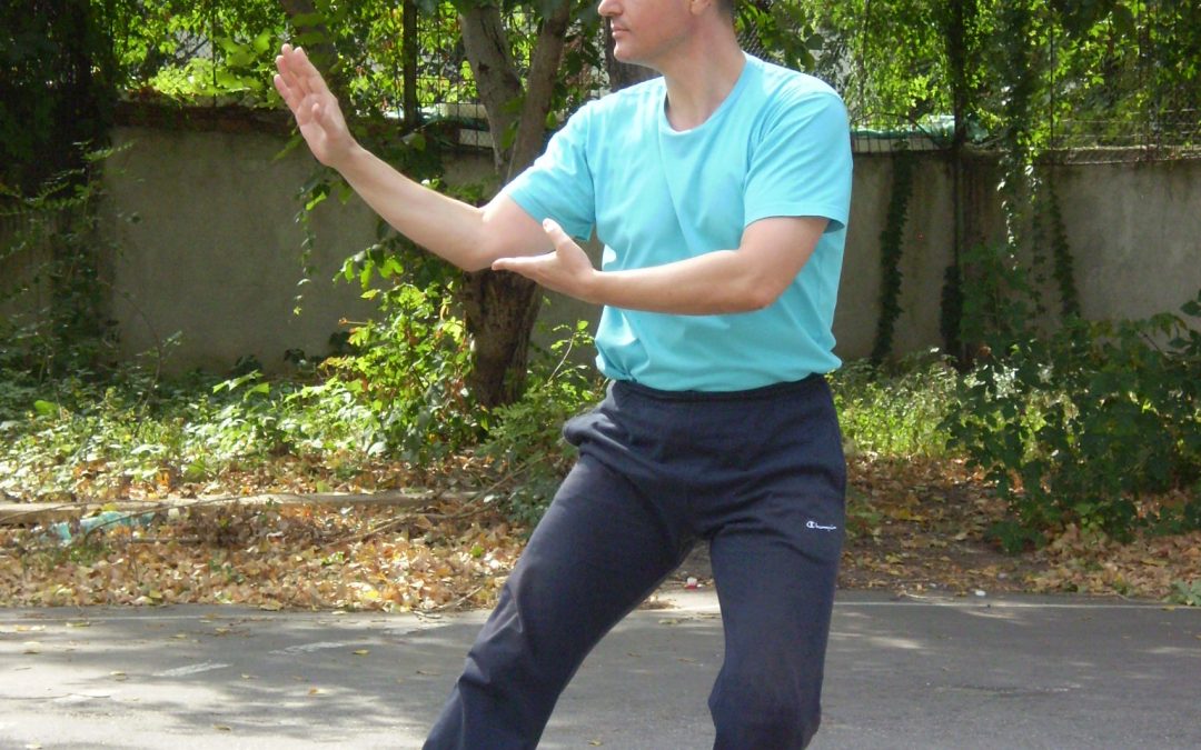 Costin Vasile – Simplitao – Tai Chi Chuan